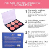 Multi-dimensional face blush palette with product packaging and features listed.